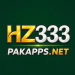 HZ333 Game
