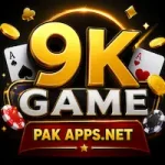9K