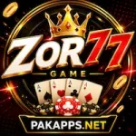 zor77 game