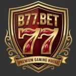 B77 Game