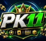 pk11 game