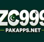 zc999 game